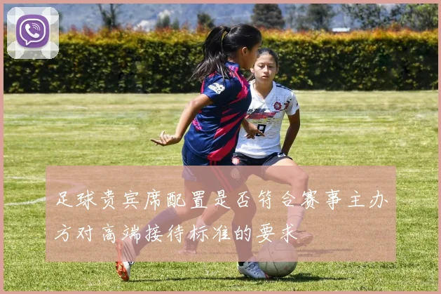 足球贵宾席配置是否符合赛事主办方对高端接待标准的要求