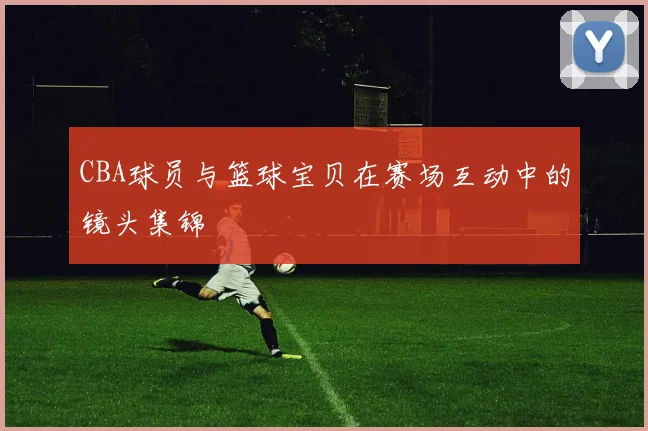 CBA球员与篮球宝贝在赛场互动中的镜头集锦