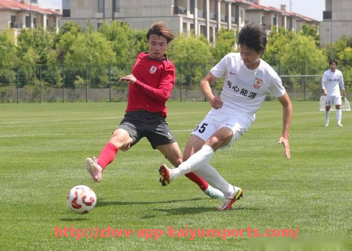 开云体育app下载-法甲赛季目标设定方法及实现路径探讨